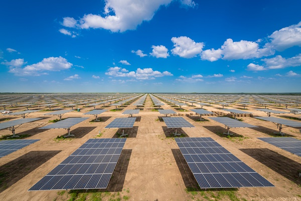 파루가 31MW 태양광발전소 프로젝트를 수주했다. 사진은 파루의 양축트래커가 활용된 미국 알라모 태양광발전소 전경 [사진=파루]