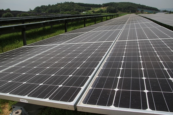 오는 11월 15일부터 3일간 '아시아·태평양 재생에너지 포럼'이 부산 해운대에서 개최된다. 이 자리에서는 태양광과 풍력 등 재생에너지 정책과 발전방향이 집중적으로 논의될 예정이다. [사진=dreamstime]