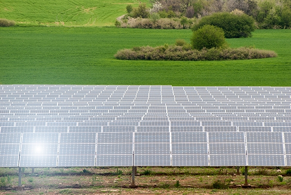 전남도가 태양광발전 개발행위에 대한 적정 기준 마련을 위한 간담회를 개최한다. [사진=dreamstime]