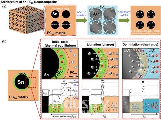 Sn-PC60전극의 구조 및 자가완화특성에 대한 모식도 (a)와 충･방전과정 중 금속/n-type반도체(a-SnO2)/p-type반도체(PC60)구조에서의 전자이동에 대한 모식도 및 에너지도표(b) [사진=한국과학기술연구원]