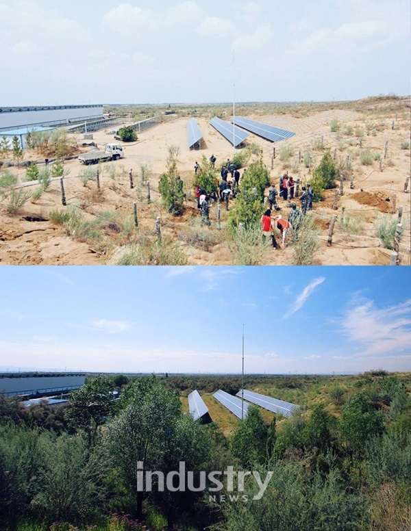 중국 닝샤지역 사막에 조성된 한화 태양의 숲 전(사진 위쪽)과 후 [사진=한화]