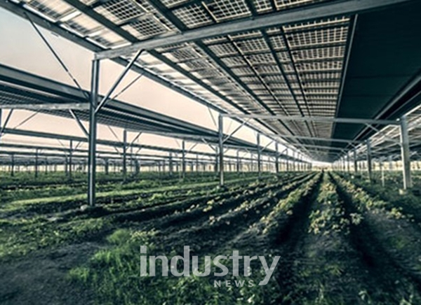 고호태양광의 인삼밭용 태양광발전 설비 '솔라팜' [사진=고호태양광]