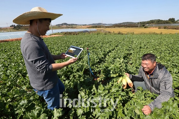 KT는 2월까지 전국 5개 지자체 59개 농가를 대상으로 노지채소 스마트팜 구축에 나선다. [사진=KT]