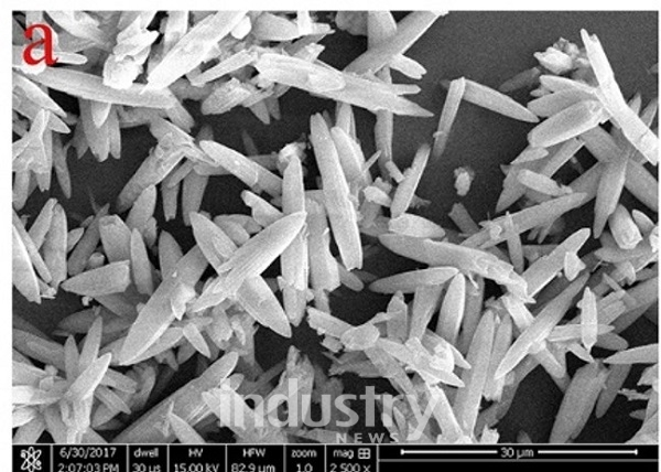 흡착제 시료 SEM 전자현미경 사진 [사진=한국화학연구원]