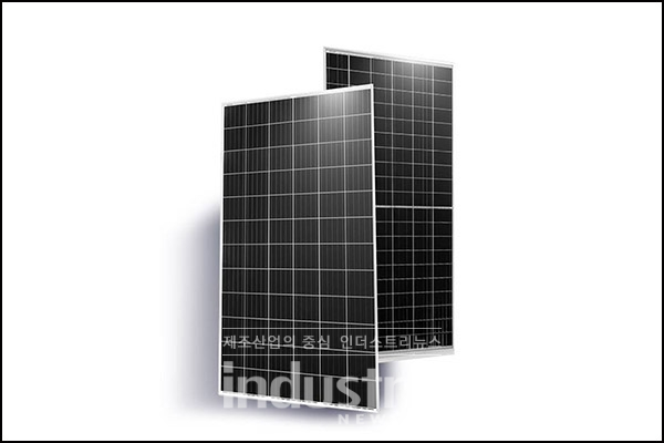 진코솔라의 초고출력 모듈인 '치타' 모습 [사진=진코솔라]