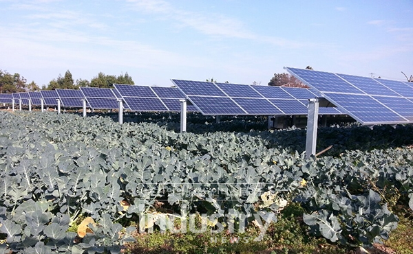 오는 3월 26일 대구에서 농촌태양광 및 영농형 태양광 정책 관련 세미나가 개최된다. [사진=제주탑솔라]