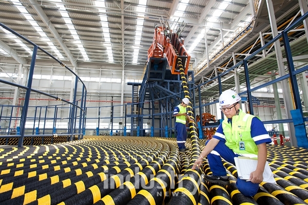 LS전선이 국내 최초로 브라질에 해저 케이블을 공급한다고 25일 밝혔다. [사진=LS전선]