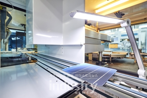 신성이엔지 PERC 태양전지 [사진=신성이엔지]