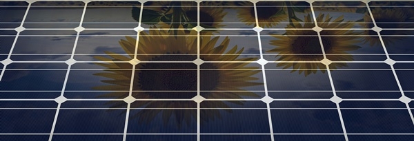 에스에너지가 3분기 실적반등에 성공하며, 연간 실적 개선에 대한 기대감을 높이고 있다. [사진=dreamstime]