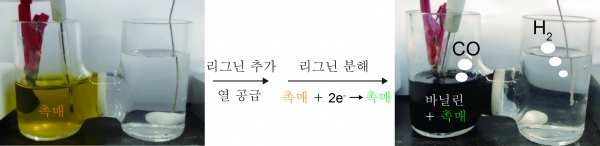연구진이 구성한 리그닌 분해 및 수소 생성 시스템 사진 [사진=유니스트]