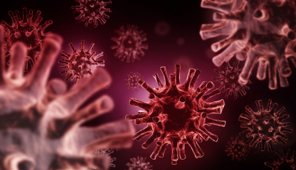 국회는 소속기관 홈페이지를 통틀어 검색어를 조사한 결과 ‘코로나19’에 대한 정보가 가장 많이 검색된 것으로 나타났다. [사진=utoimage]