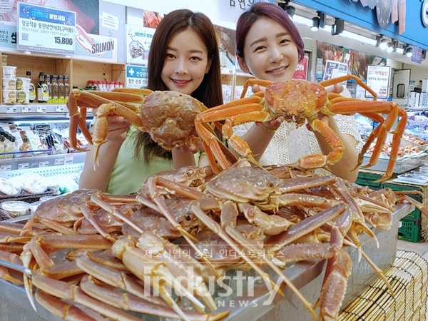 롯데마트가 오는 2일부터 동행세일 2탄을 시작한다. [사진=롯데마트]