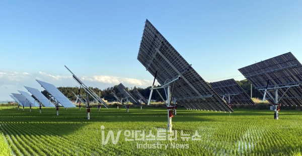 파루의 화재예방 접속함이 설치된 영농형태양광발전소 전경 [사진=파루]