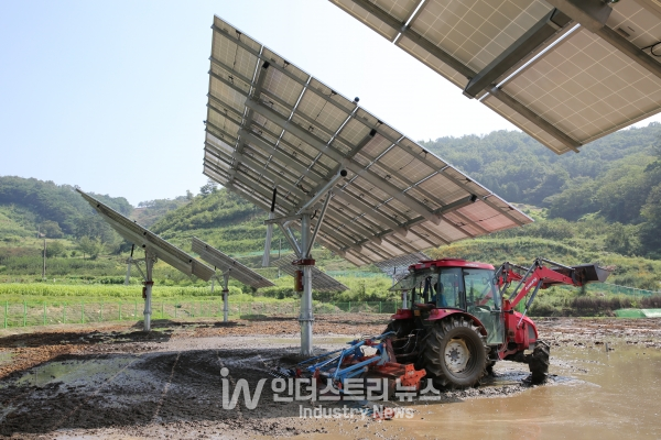 국내 영농형 태양광에 적용한 파루의 태양광 트랙커 [사진=파루]