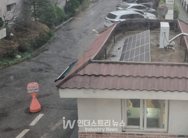 인천시 부평구가 민간부문 신재생에너지 보급 확대를 위해 2023년 미니태양광 보급사업을 추진한다. [사진=인천시 부평구]