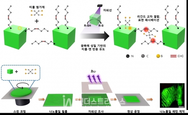 다이렉트 광촉매 패터닝의 원리 및 공정 개요도. 연구팀은 싸이올 물질을 활용하여 발광 나노소재의 패터닝을 진행하였으며, 싸이올 물질 도입을 통해 리간드 교차 결합 및 표면 패시베이션이라는 두 가지 효과를 이끌어냈다. [자료=KAIST]<br>