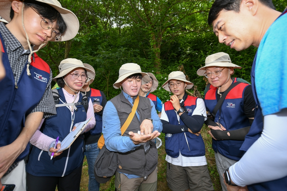 현대모비스 임직원들이 진천 미호강 일대에서 서식하는 생태 생물 종 현황 파악하고 데이터베이스를 구축하는 '생물대탐사' 활동을 진행하고 있다./사진=현대모비스