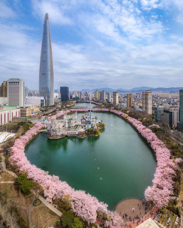 벚꽃 명소로 사랑받는 롯데월드타워와 석촌호수 전경./사진=롯데물산