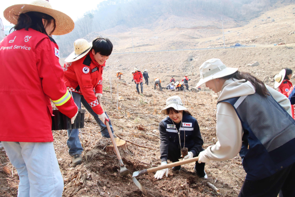 티웨이항공 임직원들이 강원도 춘천 신북읍의 한 산에서 나무 심기 행사를 진행하고 있다./사진=티웨이항공