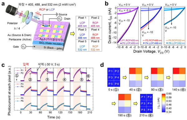 2×3 ChiropS 배열에서의 6채널 광 시냅스 작동 시연 [사진=KAIST]