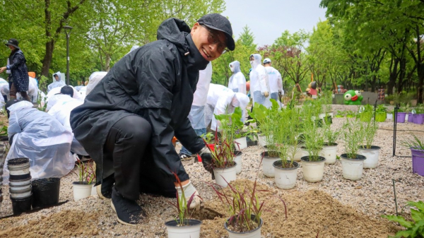 송호섭 다이닝브랜즈그룹 대표이사가 수분 매개 식물 심기 활동을 펼치고 있다./사진=다이닝브랜즈그룹