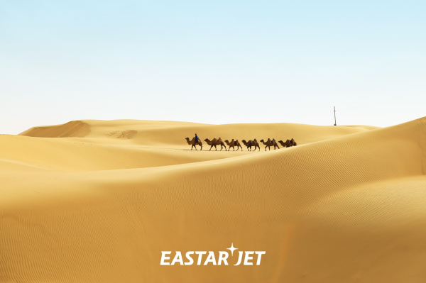 이스타항공의 부산~오르도스 노선 운항 관련 이미지./사진=이스타항공