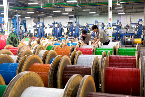 LS전선 직원들이 데이터 케이블을 생산하고 있는 모습./사진=LS전선