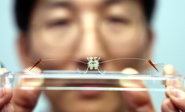 아주대 고제성 교수가 소금쟁이과 곤충 라고벨리아(Rhagovelia)를 모방해 만든 초소형 수상 로봇 '라고봇'(Rhagobot)을 들어 보이고 있다./ 사진 = 연합뉴스