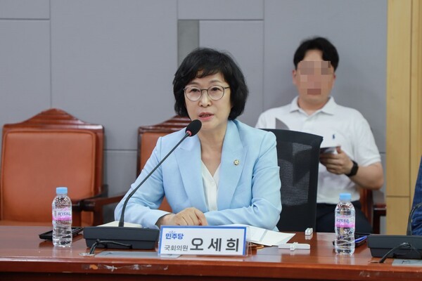 소상공인연합회장 출신인 오세희 더불어민주당 의원./사진=오세희 의원실