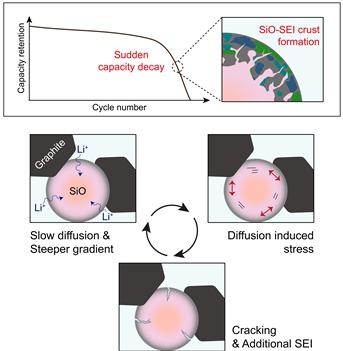 연구 논문 이미지./자료=고려대학교
