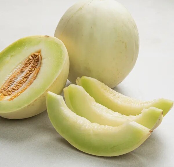 현대홈쇼핑이 추석 선물로 추천하는 프리미엄 과일 허니듀 멜론./사진=현대홈쇼핑