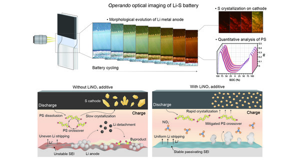 리튬-황 전지의 오페란도 광학 현미경 이미징 및 질산리튬 유무에 따른 전극-전해질 계면 반응 모식도./자료=고려대학교