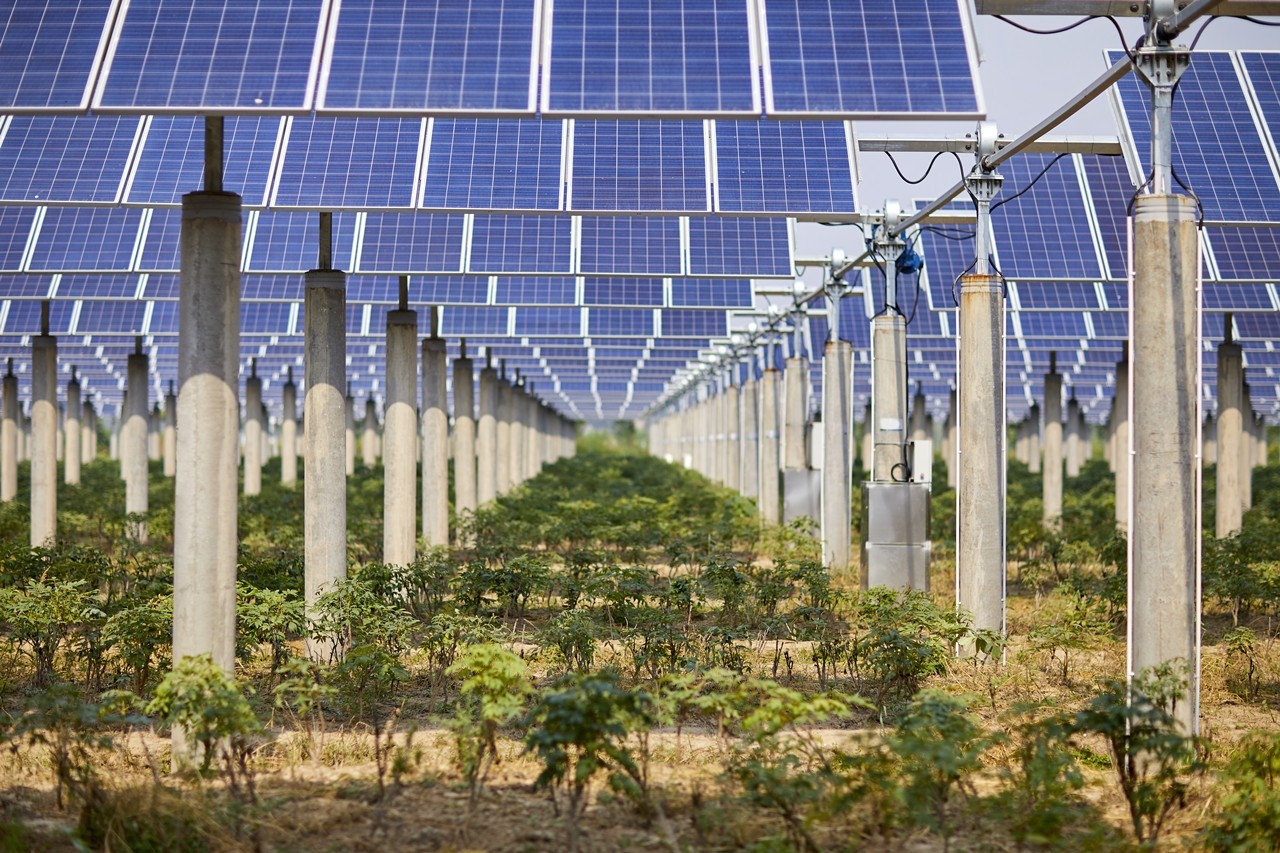 사진은 기사와는 무관 [사진=gettyimage]