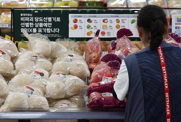 서울 시내 한 대형마트에 진열된 배와 사과를 한 소비자가 살펴보고 있다./사진=연합뉴스