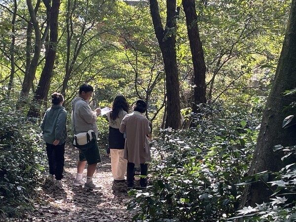 전남 나주시 국립나주숲체원에서 ‘2025 나눔숲캠프’ 참가자들이 숲속을 거닐고 있다/ 사진 = 교보생명