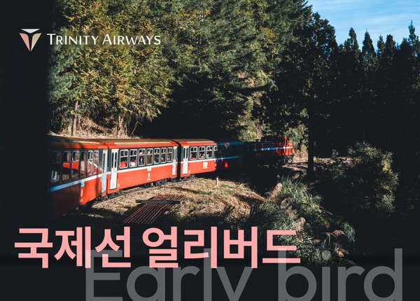 트리니티항공, 내년 1분기 탑승 항공권 대상 국제선 '얼리버드' 특가전...