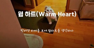뮤직비디오 '웜 하트' 화제 …'반려견' 통해 위로와 감동 담아내 